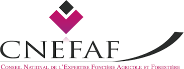 Logo CNEFAF