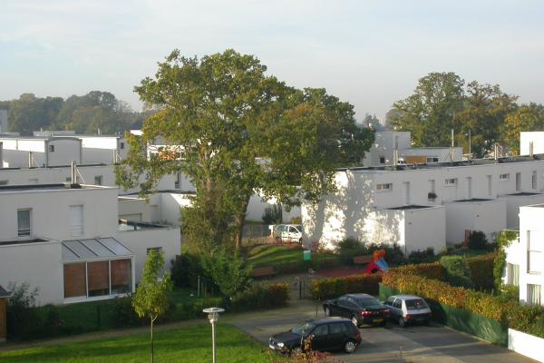 La charte de l'arbre de la Ville de Rennes