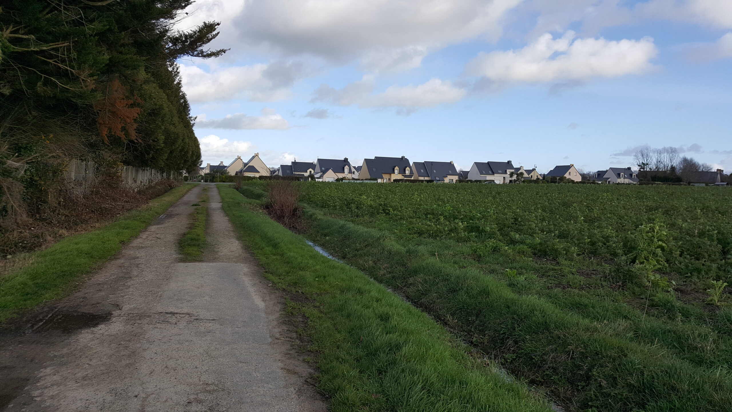 Création d&rsquo;un quartier d&rsquo;habitation de 110 logements à Pleurtuit